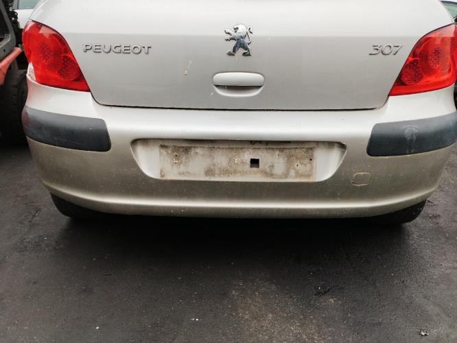 Image Malle/Hayon arriere - PEUGEOT 307
