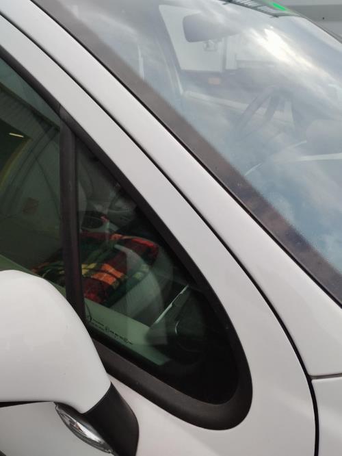 Image Custode avant droit (porte) - PEUGEOT 207