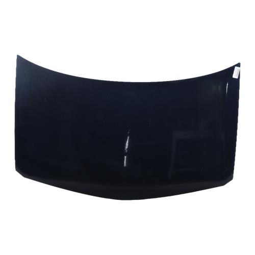 Image Capot - RENAULT MEGANE 2