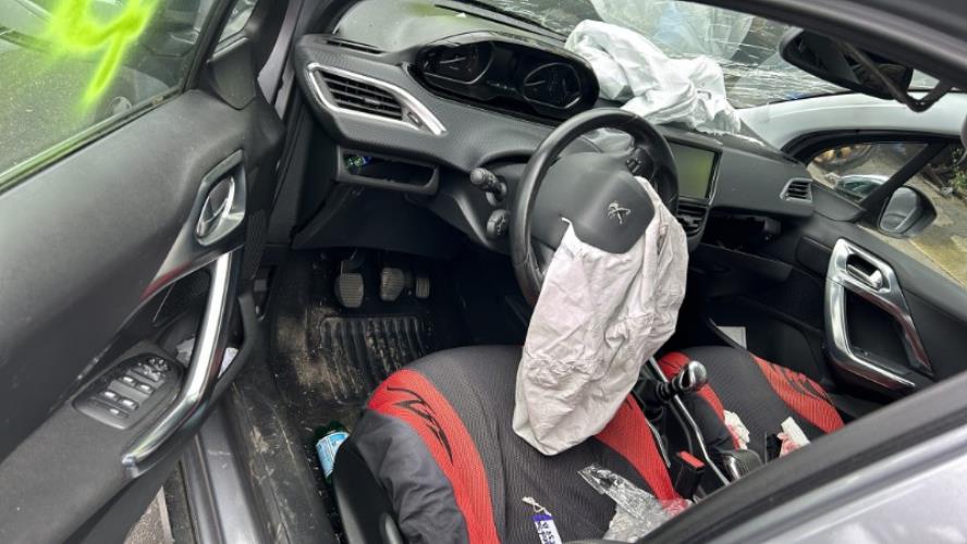 Image Custode avant droit (porte) - PEUGEOT 2008 1