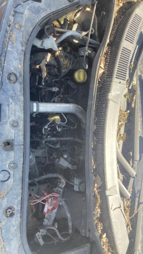 Image Calculateur - RENAULT SCENIC 2