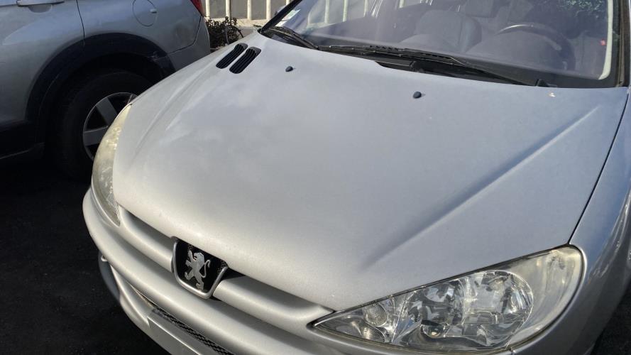 Image Compteur - PEUGEOT 206