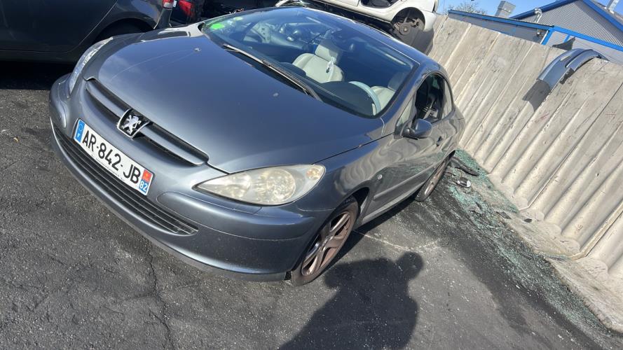 Image Porte avant gauche - PEUGEOT 307