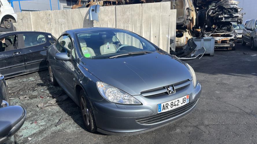 Image Porte avant gauche - PEUGEOT 307