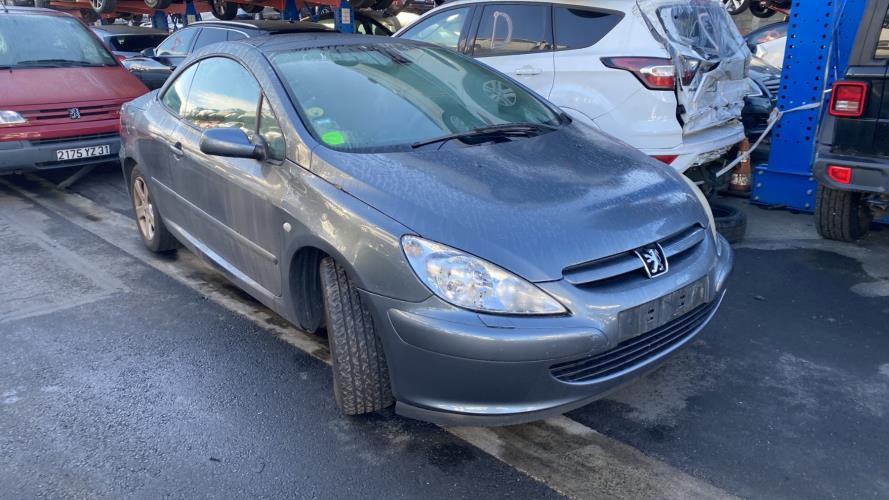 Image Porte avant gauche - PEUGEOT 307