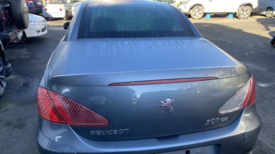 Image Porte avant gauche - PEUGEOT 307