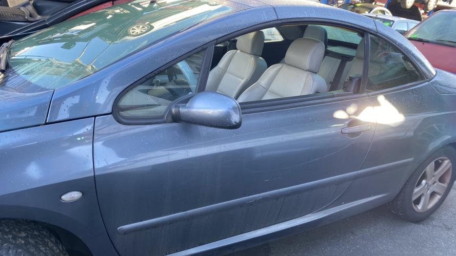 Image Porte avant gauche - PEUGEOT 307