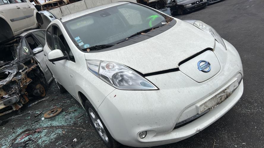 Image Poignee porte avant gauche - NISSAN LEAF 1
