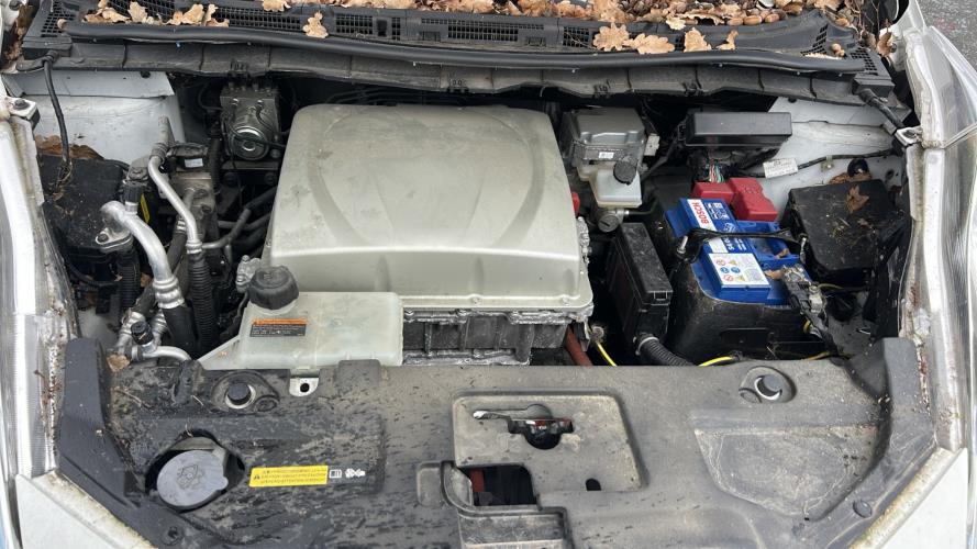 Image Poignee porte avant gauche - NISSAN LEAF 1