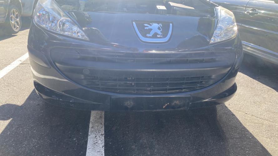 Image Custode avant droit (porte) - PEUGEOT 207