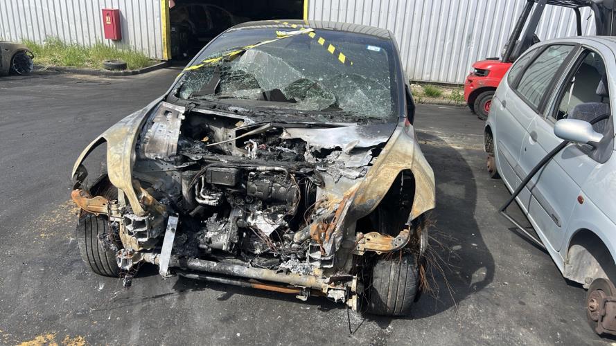 Image Feu arriere principal droit (feux) - TESLA MODEL 3 5YJ3