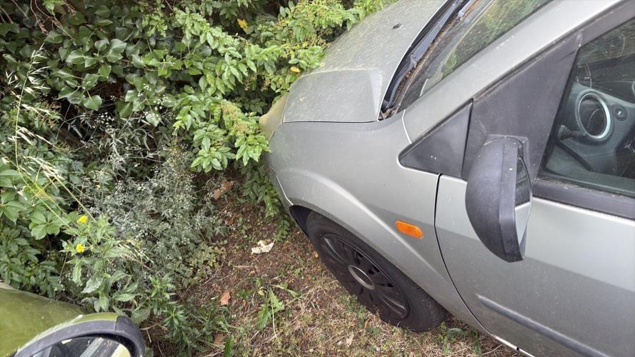 Image Feu arriere principal gauche (feux) - FORD FIESTA 5
