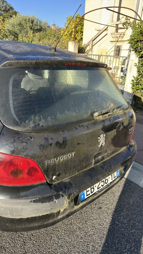 Image Calculateur - PEUGEOT 307