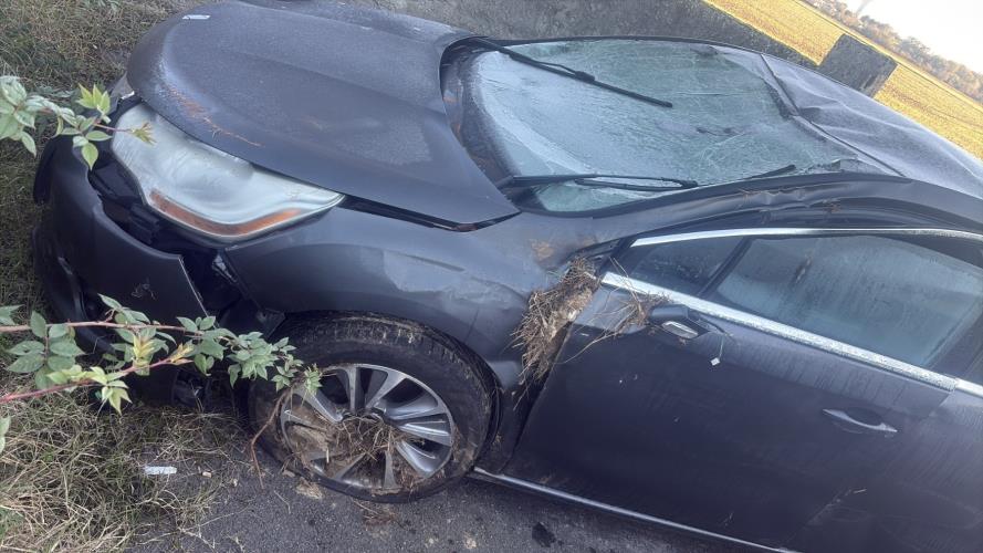 Image Porte arriere droit - CITROEN DS4