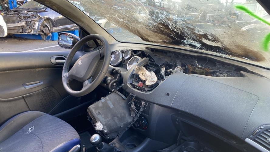 Image Feu arriere principal gauche (feux) - PEUGEOT 206+