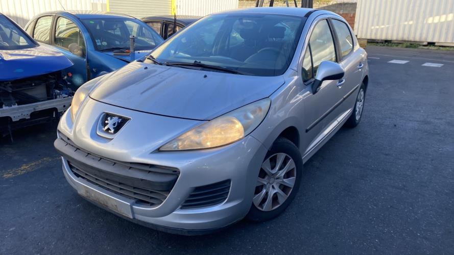 Image Custode avant gauche (porte) - PEUGEOT 207