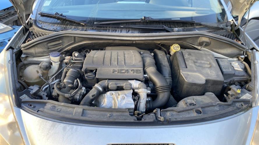 Image Custode avant gauche (porte) - PEUGEOT 207