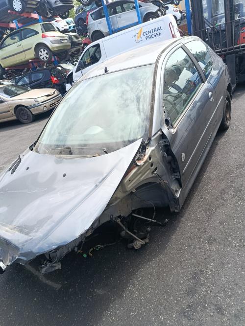 Image Porte avant gauche - PEUGEOT 206