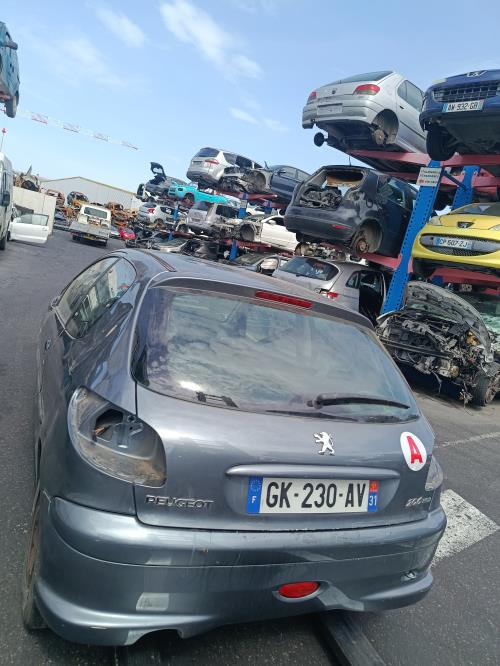 Image Porte avant gauche - PEUGEOT 206