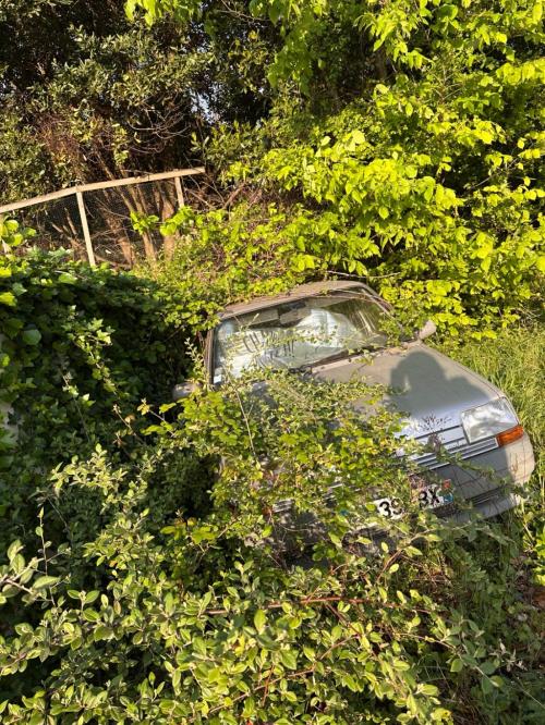 Image Retroviseur droit - RENAULT SUPER 5