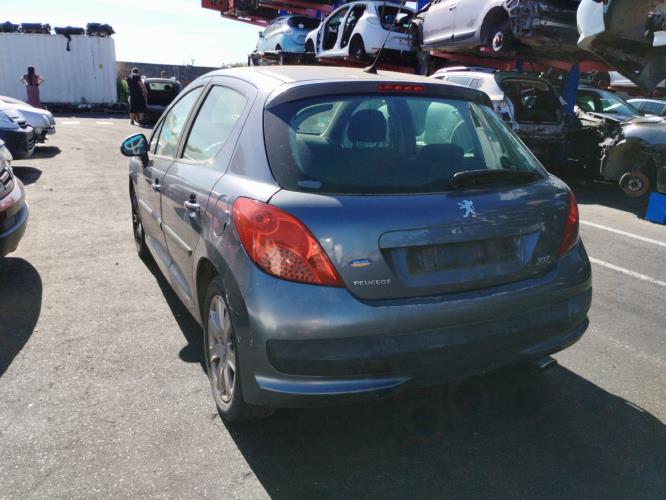 Image Custode avant droit (porte) - PEUGEOT 207