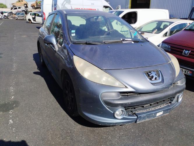 Image Custode avant droit (porte) - PEUGEOT 207