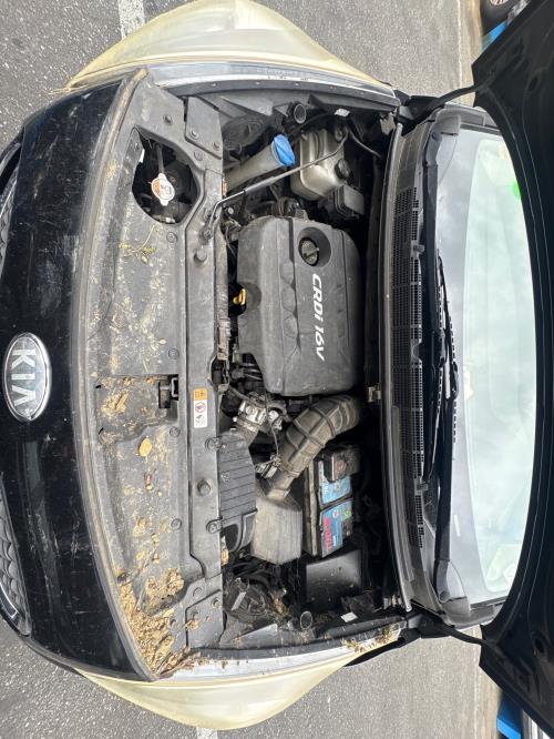 Image Porte arriere droit - KIA CARENS 4