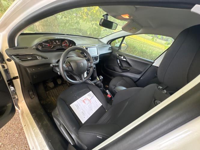 Image Custode avant gauche (porte) - PEUGEOT 208 1