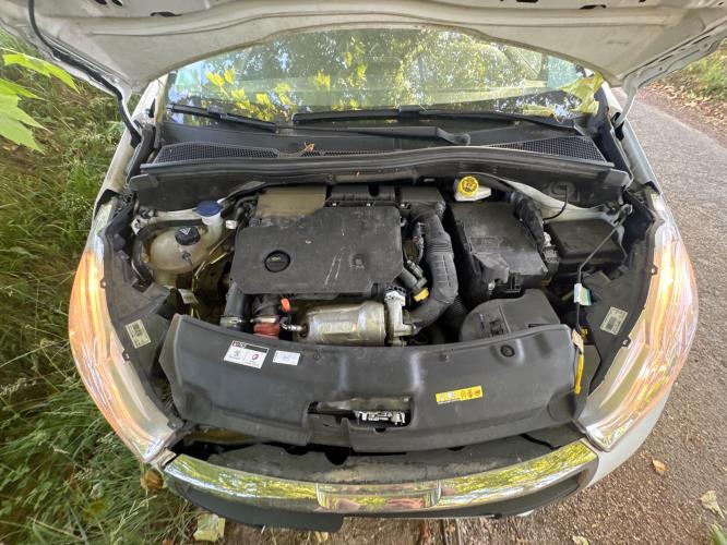 Image Custode avant gauche (porte) - PEUGEOT 208 1