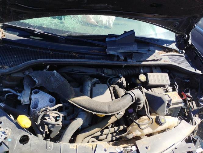 Image Custode arriere gauche (porte) - RENAULT CLIO 3