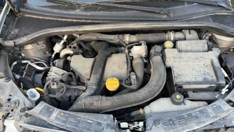 Image Feu arriere principal droit (feux) - RENAULT CLIO 3