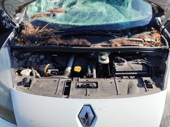 Image Servo frein avant - RENAULT SCENIC 3